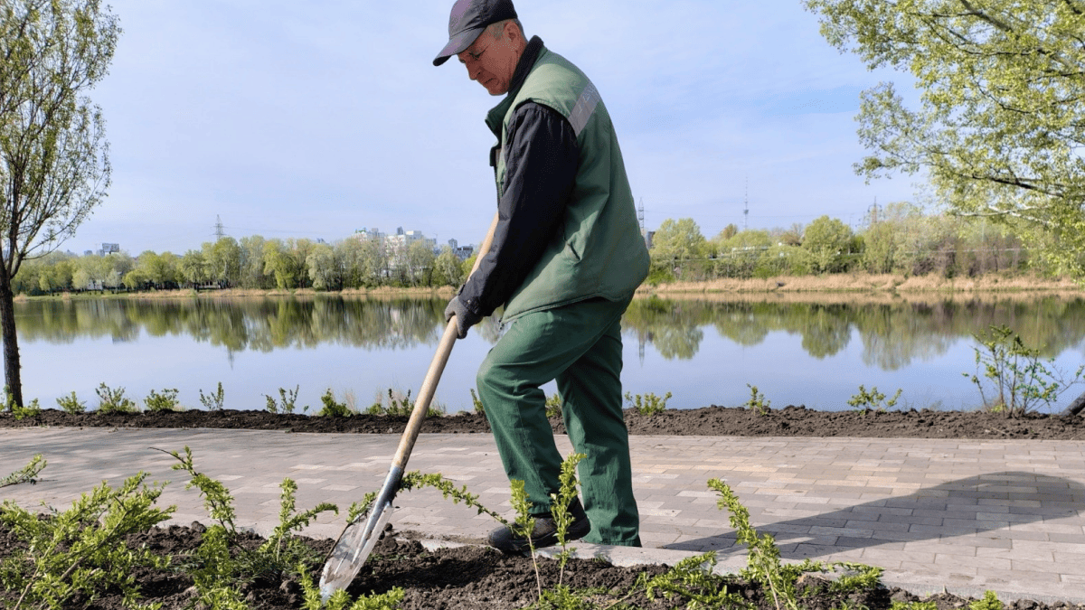 Фото до матеріалу: На Оболоні біля озера Йорданське з'явилися сотні квітучих кущів
