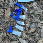 Фото до матеріалу: Де поділись понад 3 млн: у Кривому Розі посадовиця відповідатиме за безпідставно витрачені кошти