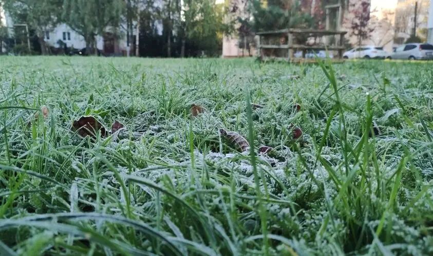 Фото до матеріалу: Нічні заморозки та потепління: якою буде погода у Києві найближчим тижнем