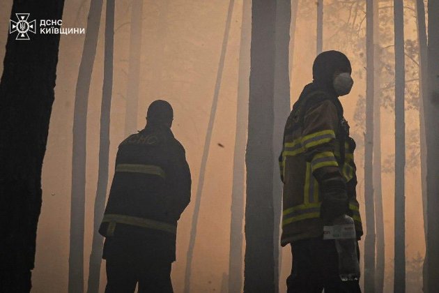 Фото до матеріалу: Пожежа у Чорнобильській зоні відчуження: який рівень радіації зараз (фото)