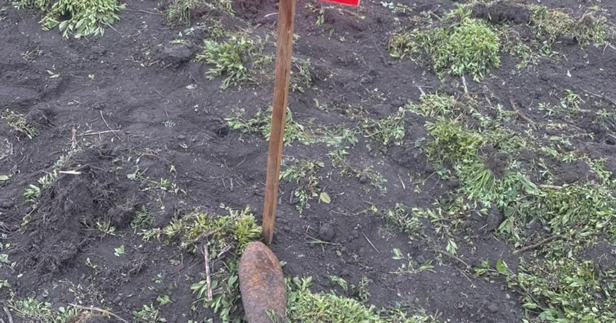Фото до матеріалу: На Львівщині під час землеробських робіт виявили снаряд та міну часів Другої світової війни