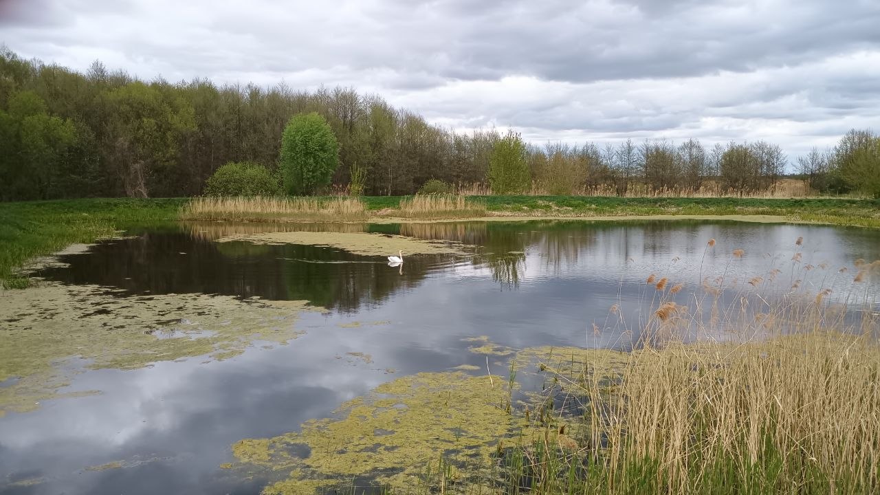 Фото до матеріалу: Погода на Любешівщині 2 травня: очікується тепла без опадів