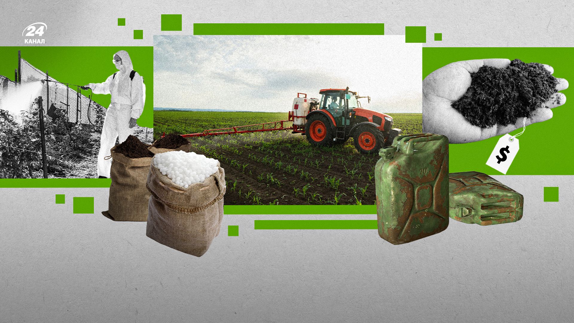 Фото до матеріалу: З поля на полицю: як зростання витрат аграріїв на продукцію може вдарити по цінах в супермаркетах