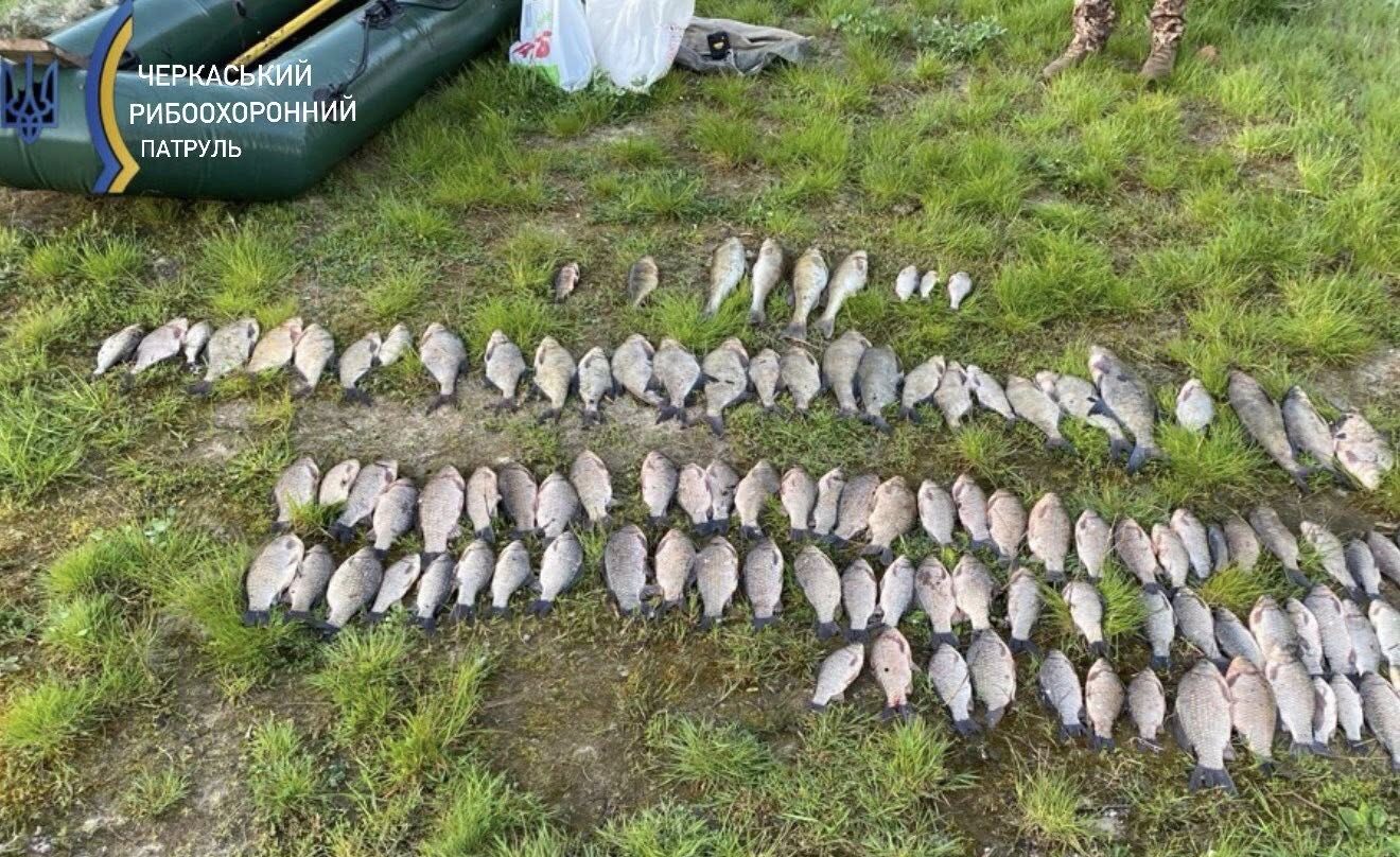 Фото до матеріалу: У Тальному рибоохорона затримала браконьєра, який виловив сотню рибин