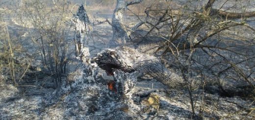 Фото до матеріалу: Центр психіатричної та психологічної допомоги «Менталіс» відкрився у Тернополі