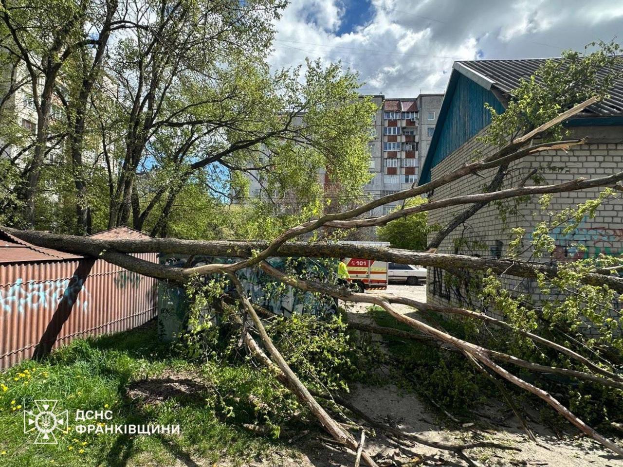 Фото до матеріалу: Енергетики Прикарпаття відновили світло після шквального вітру: станом на ранок залишилося кілька вимкнень