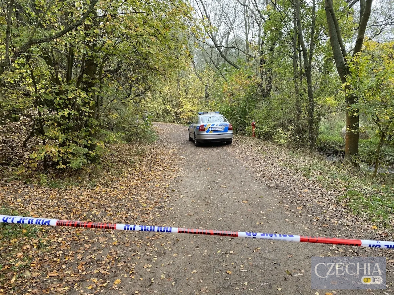 Фото до матеріалу: У Чехії погіршилась ситуація із вбивствами — Українці в Чехії