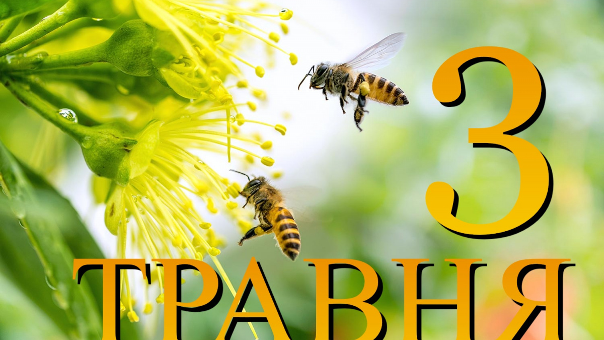 Фото до матеріалу: 3 травня: чому не можна одягати речі навиворіт та які свята відзначають в Україні