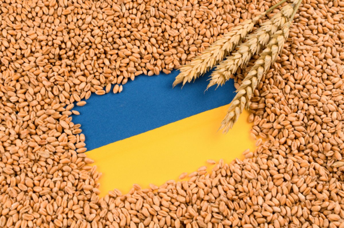 Фото до матеріалу: Україна та Ізраїль у зерновому конфлікті: погрози санкцій та дипломатичний скандал