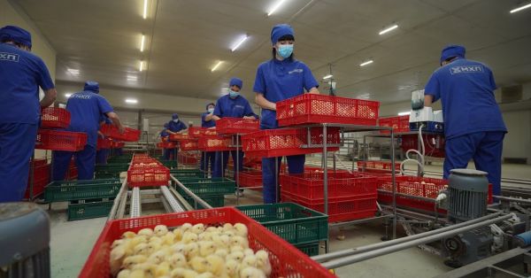 Фото до матеріалу: МХП запустив другий пілотний проєкт з найму іноземних працівників