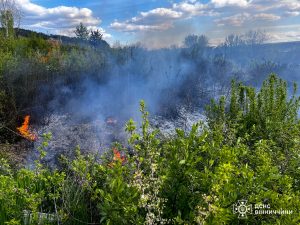 Фото до матеріалу: На Вінниччині ліквідовано 8 пожеж: деталі інцидентів у Шаргородській та Ямпільській громадах