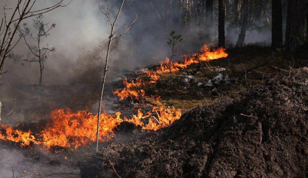 Фото до матеріалу: У Чорнобильській зоні відчуження пожежа охопила понад 1100 гектарів