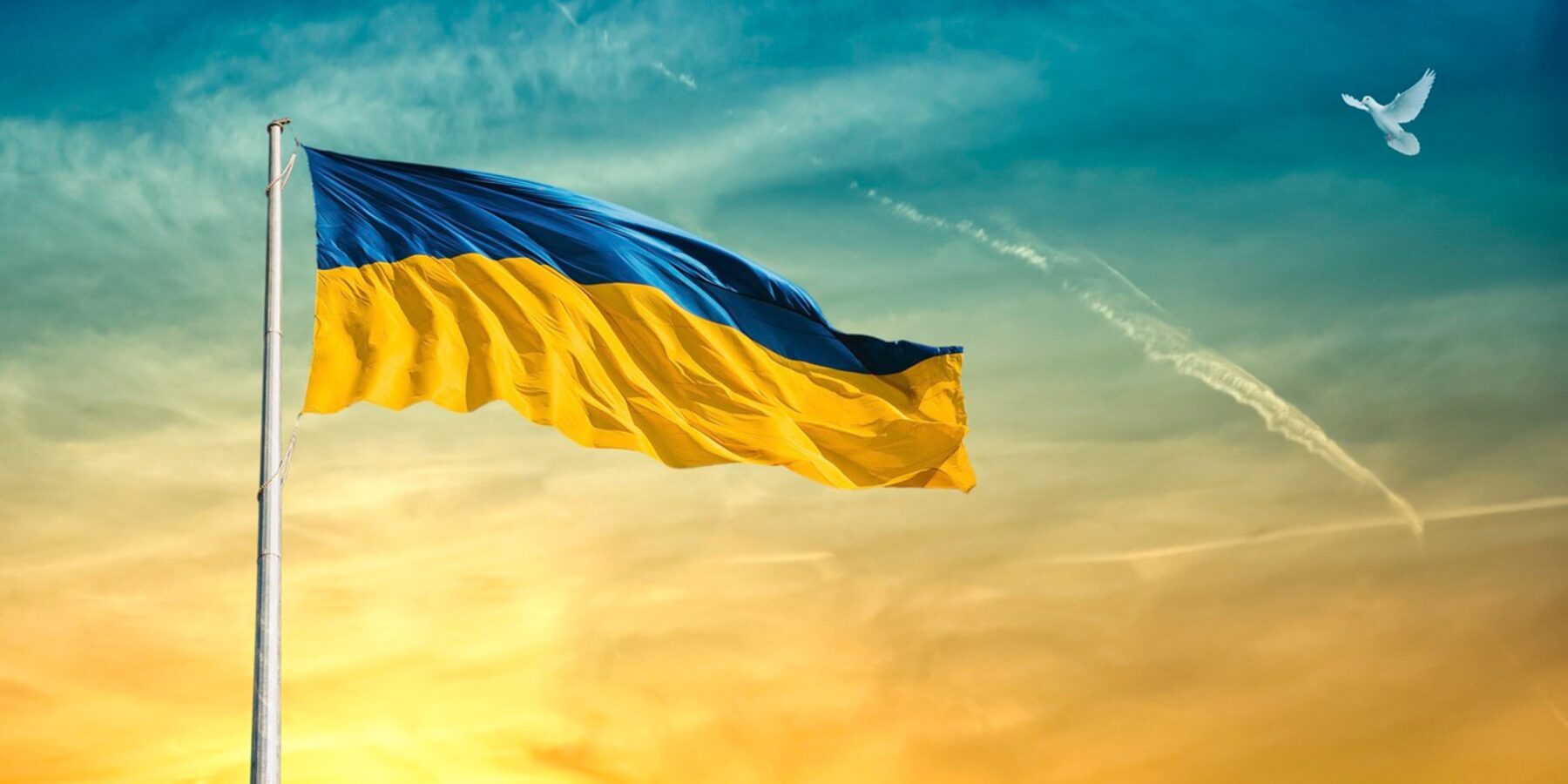 Фото до матеріалу: Як відкрити бюро перекладів: ключові кроки та поради для старту бізнесу