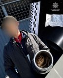Фото до матеріалу: Команда з Ниви стала переможцем обласного етапу «Кубка розвитку-2026»
