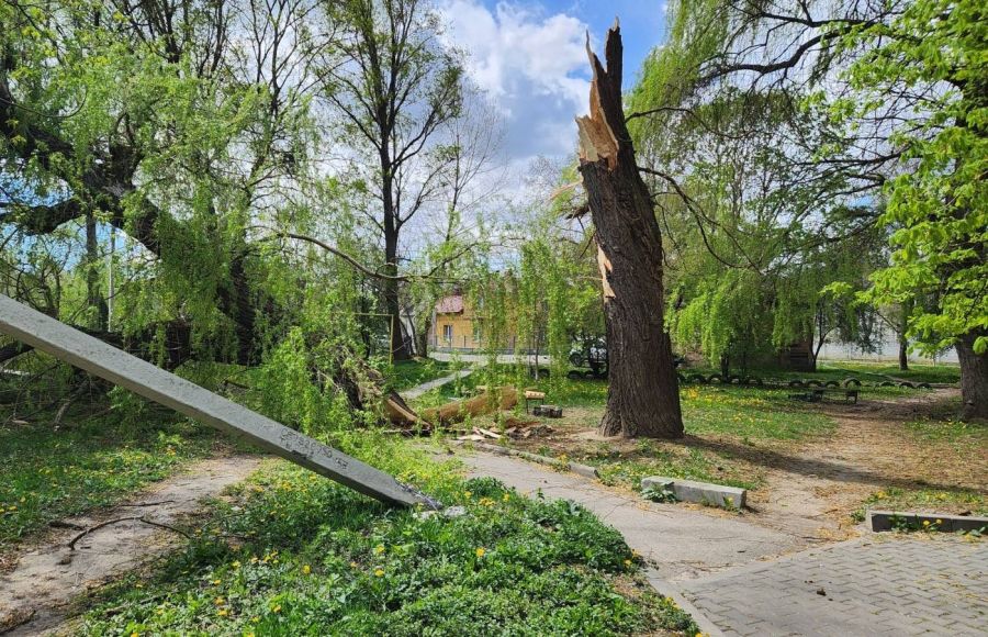 Фото до матеріалу: Сильний вітер у Івано-Франківську повалив 34 дерева та пошкодив дахи: що роблять рятувальники