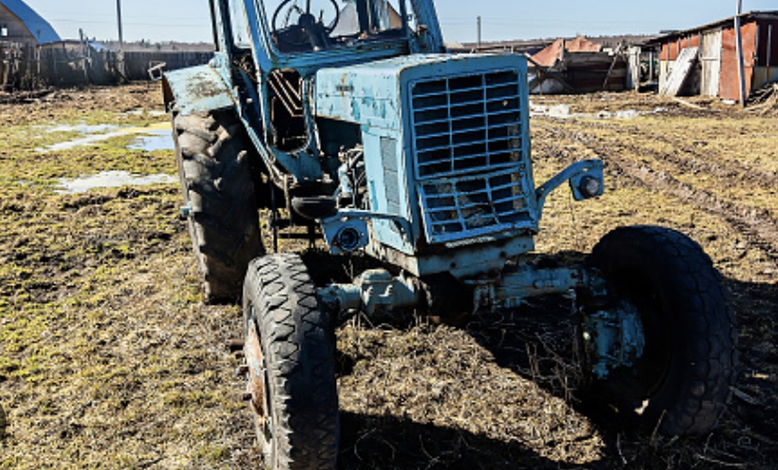 Фото до матеріалу: Селянин з Борзни: як трактор став єдиним помічником у господарстві