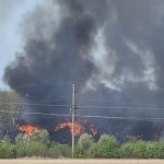 Фото до матеріалу: Місто Івано-Франківськ виділило півмільйона гривень на косіння трави
