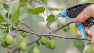 Фото до матеріалу: Як прибрати цвіль із герметика у ванній: безпечні домашні методи