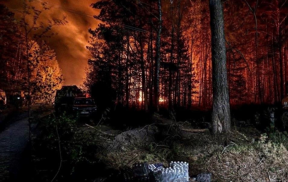 Фото до матеріалу: Лісова пожежа у Зоні відчуження: ліквідація триває