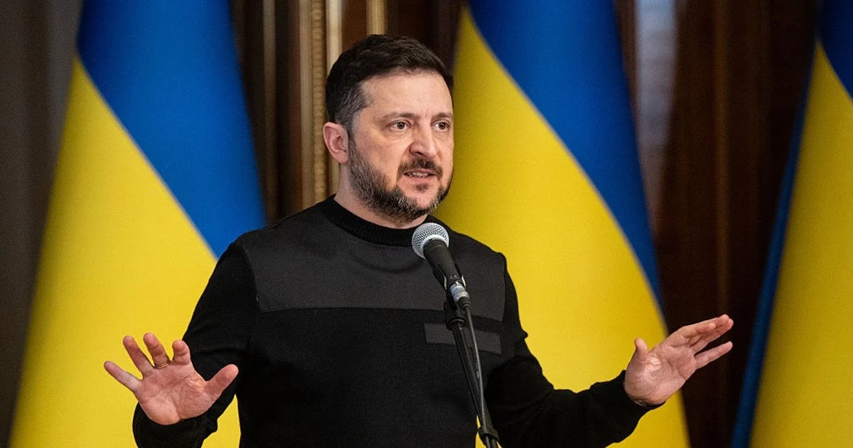 Фото до матеріалу: Як визначити вік собаки без документів: 5 ознак, на які звертає увагу ветеринар у Володимирі