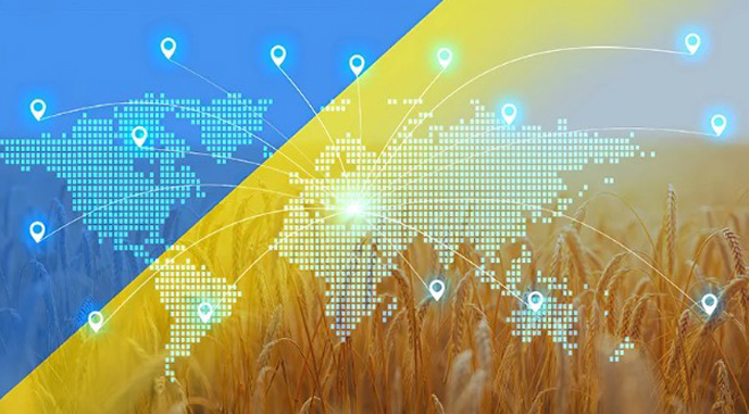 Фото до матеріалу: Експорт української кукурудзи у квітні зріс у півтора раза