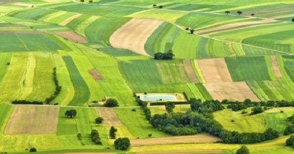 Фото до матеріалу: На Львівщині стартує аукціон з оренди сільськогосподарських земель: дві ділянки у Жовківському та Яворівському районах