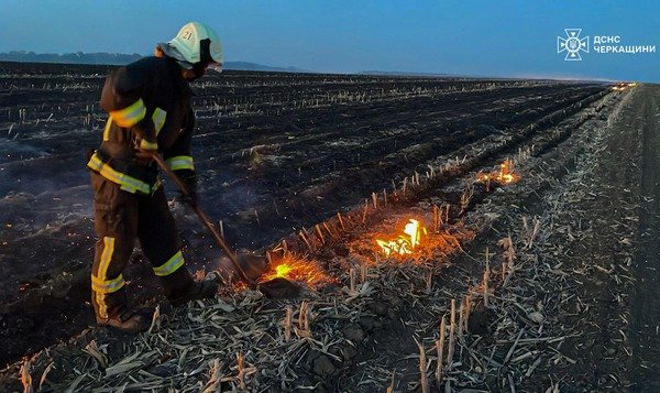 Фото до матеріалу: У Черкаській області за добу ліквідували 14 пожеж сухої рослинності