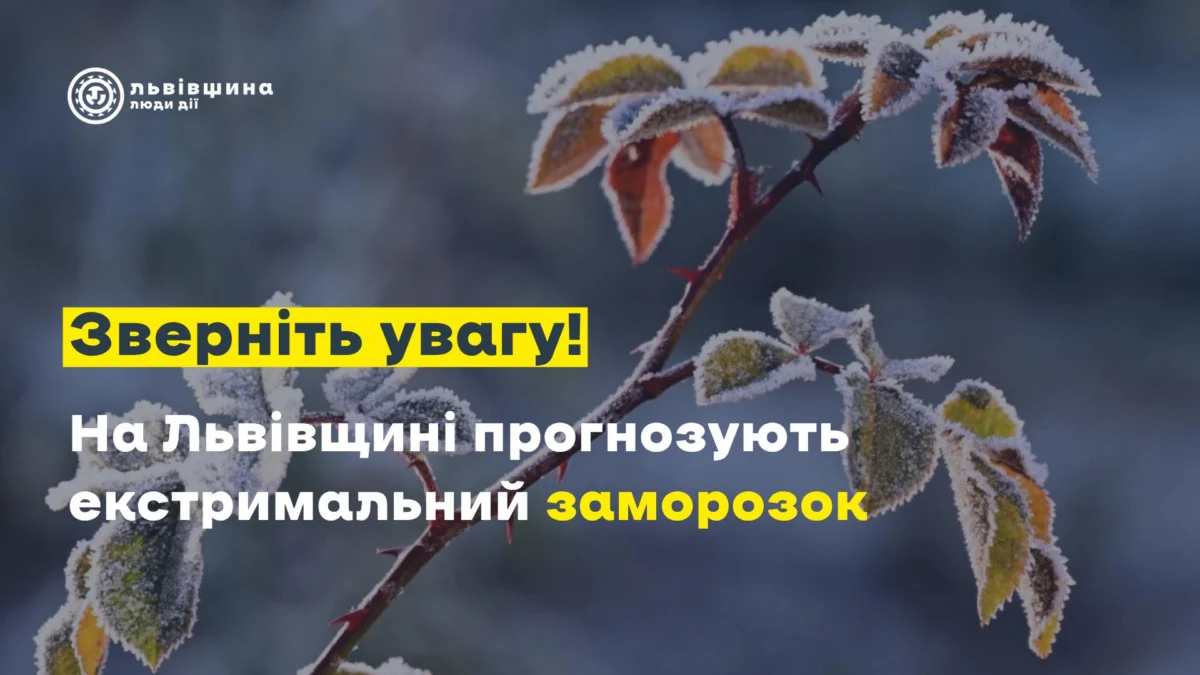 Фото до матеріалу: На Львівщині введено червоний рівень небезпеки через надзвичайні заморозки