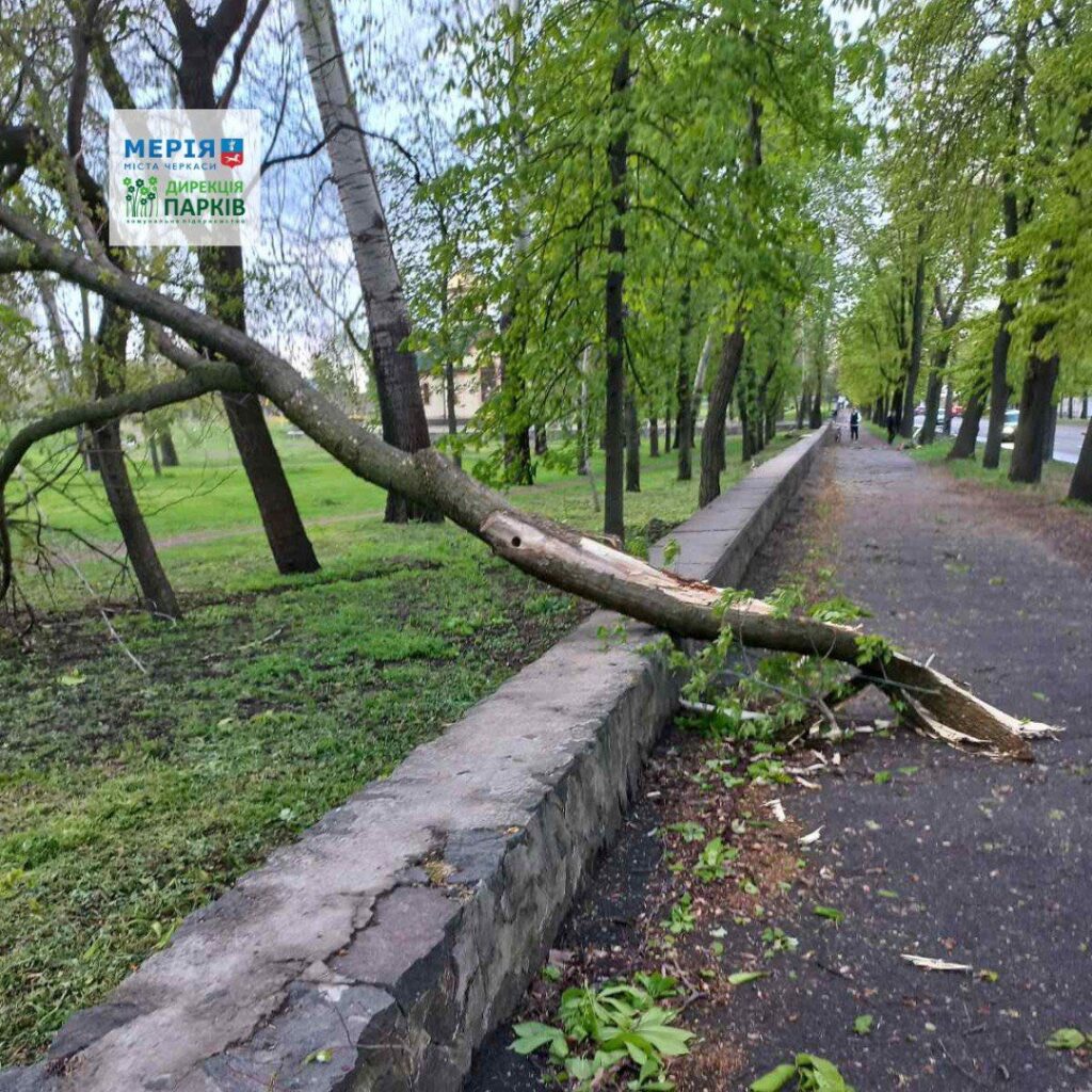 Фото до матеріалу: Черкаські парки відновили порядок після негоди: як працювали ліквідатори