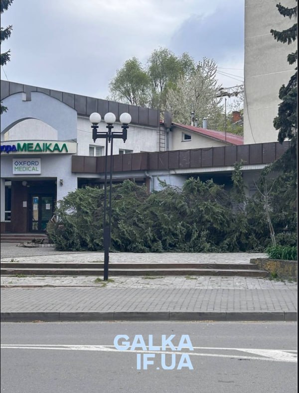 Фото до матеріалу: У Івано-Франківську через шторм впала ялина на розі вулиць Незалежності та Підгірянки