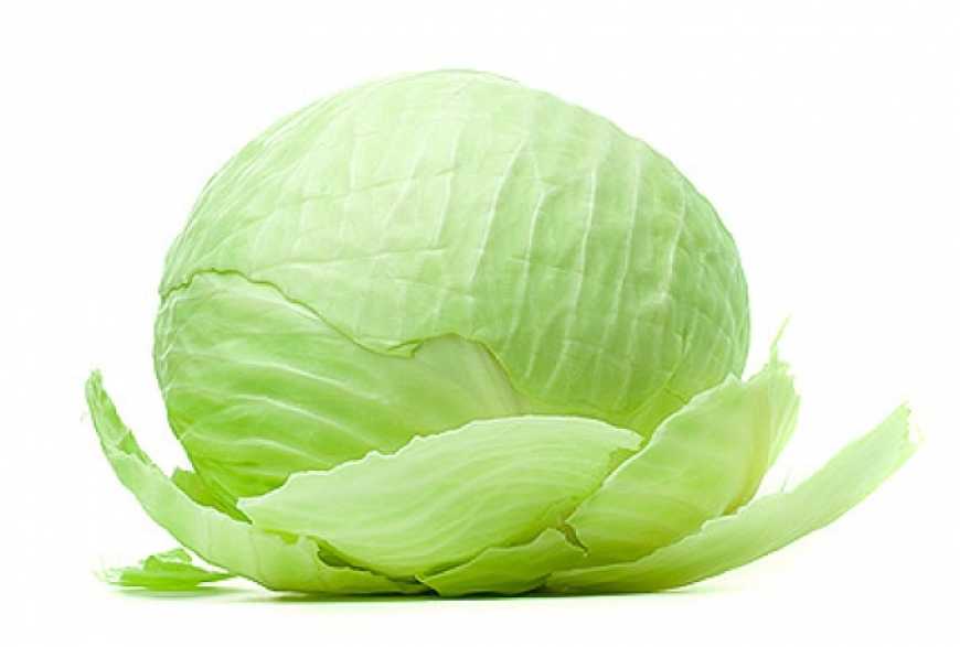 Фото до матеріалу: Ціни на минулорічну капусту в Україні зросли на 75%