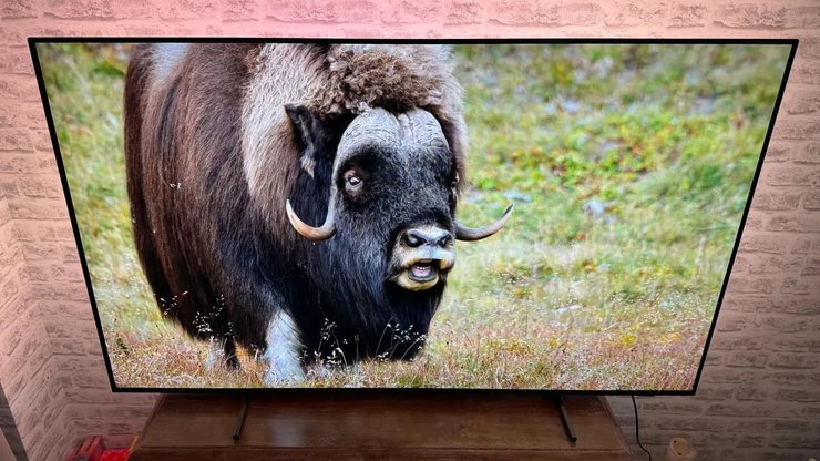 Фото до матеріалу: Найкращий бюджетний OLED-телевізор 2026 року: модель Philips OLED760