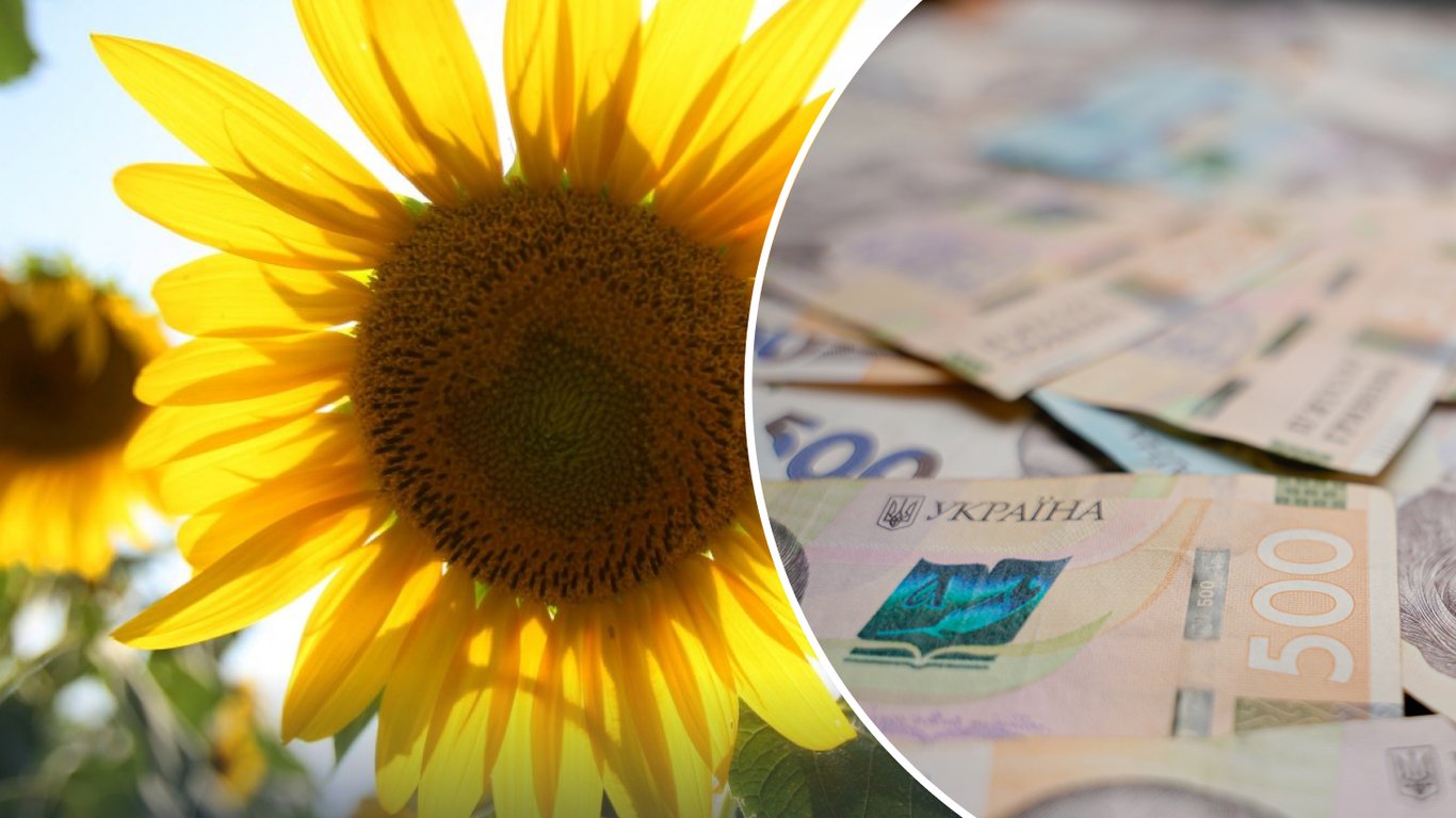 Фото до матеріалу: Ціна на соняшник в Україні зросла до майже 31 000 гривень: причини та наслідки для аграріїв