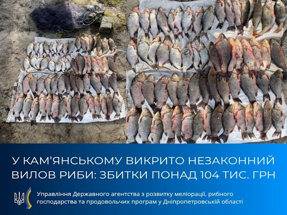 Фото до матеріалу: У Кам'янському затримали чоловіка за незаконний вилов риби під час нересту