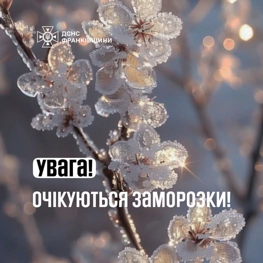 Фото до матеріалу: На Івано-Франківщині очікуються нічні заморозки