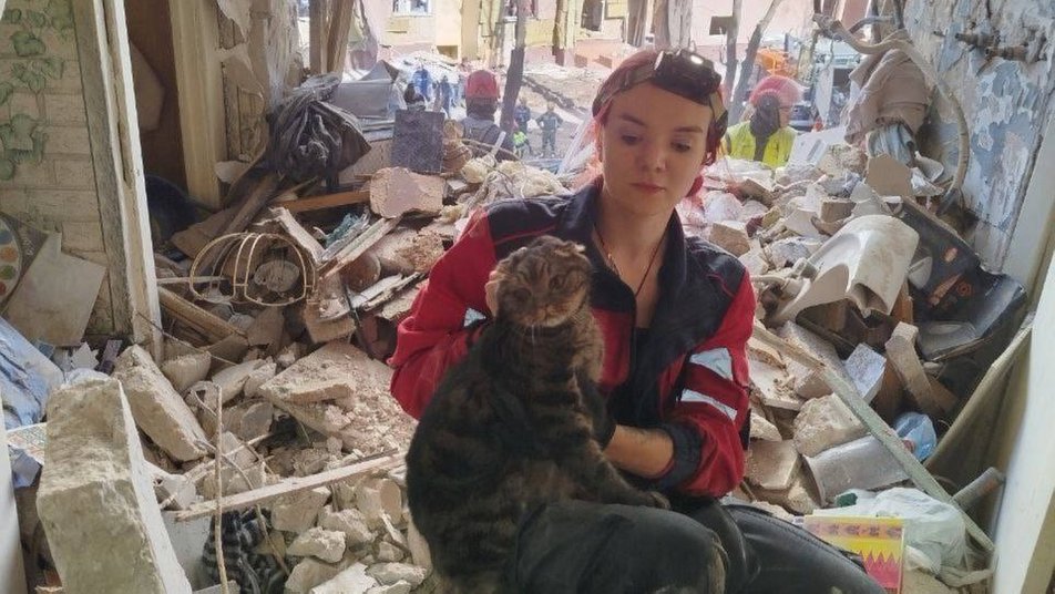Фото до матеріалу: 10 годин провів в руїнах: з-під завалів у Шевченківському районі Києва врятували кота