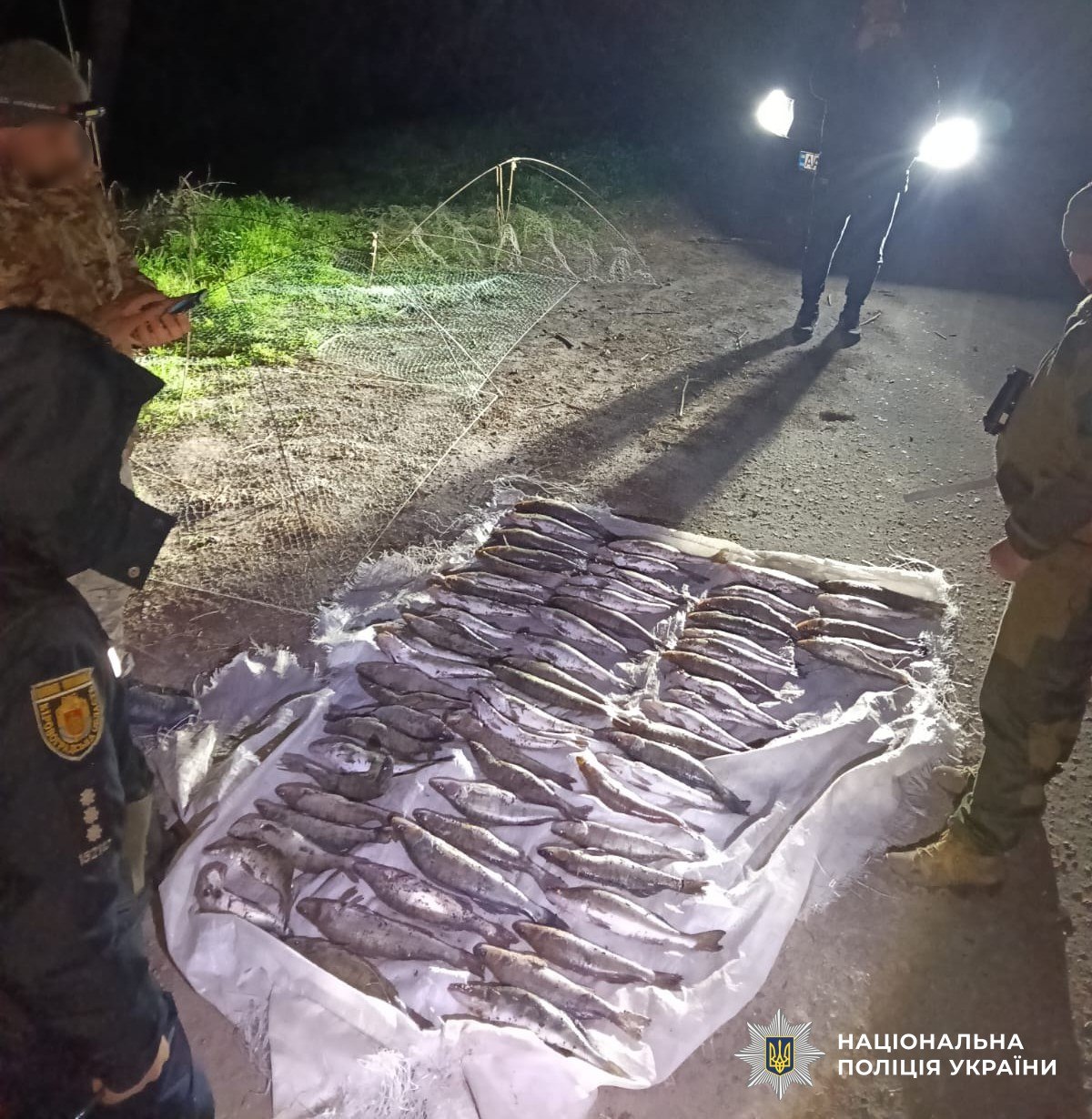 Фото до матеріалу: Браконьєр у Олександрівському районі завдав збитків на 200 тисяч гривень