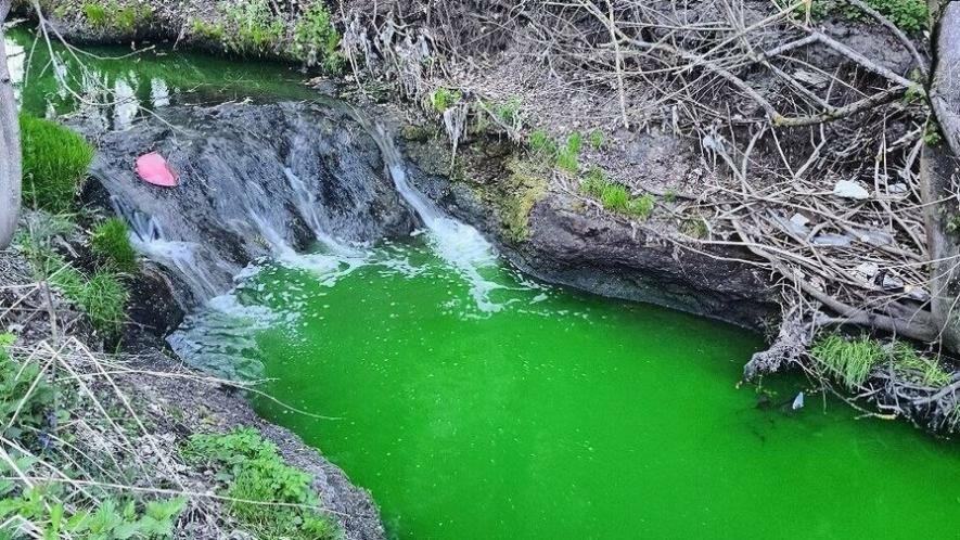 Фото до матеріалу: У Львові річку Зубра зазеленіли служби водопостачання: пояснення екологів