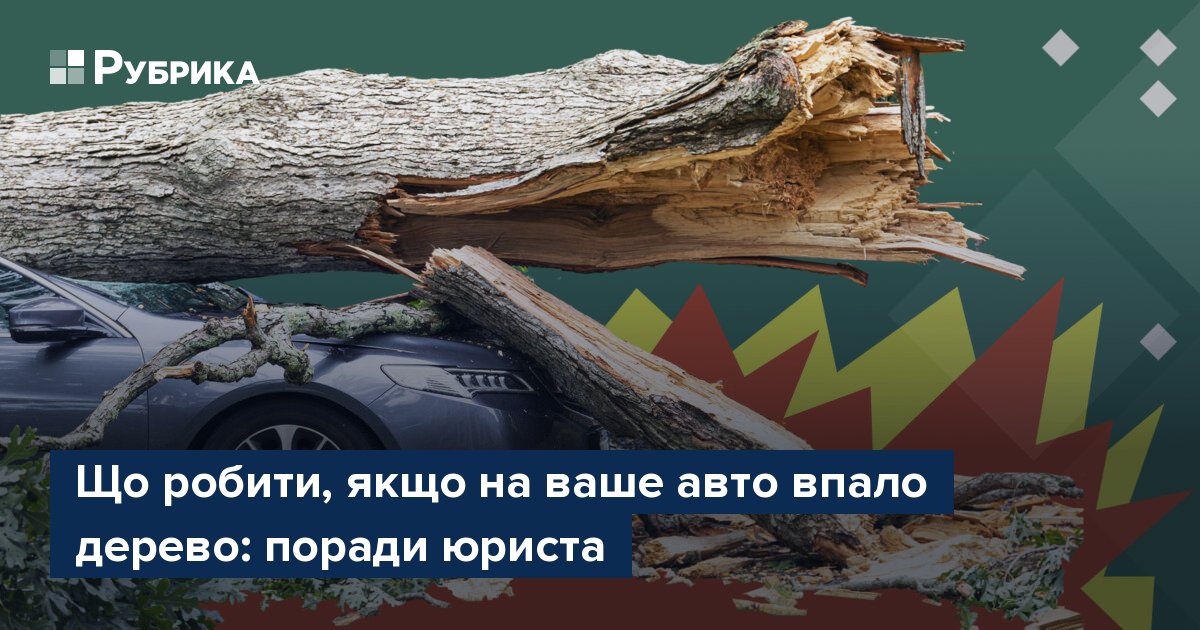 Фото до матеріалу: Дерево впало на авто: алгоритм дій та отримання компенсації