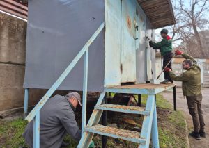 Фото до матеріалу: Як зберегти м'якість рушників: поради щодо прання та догляду
