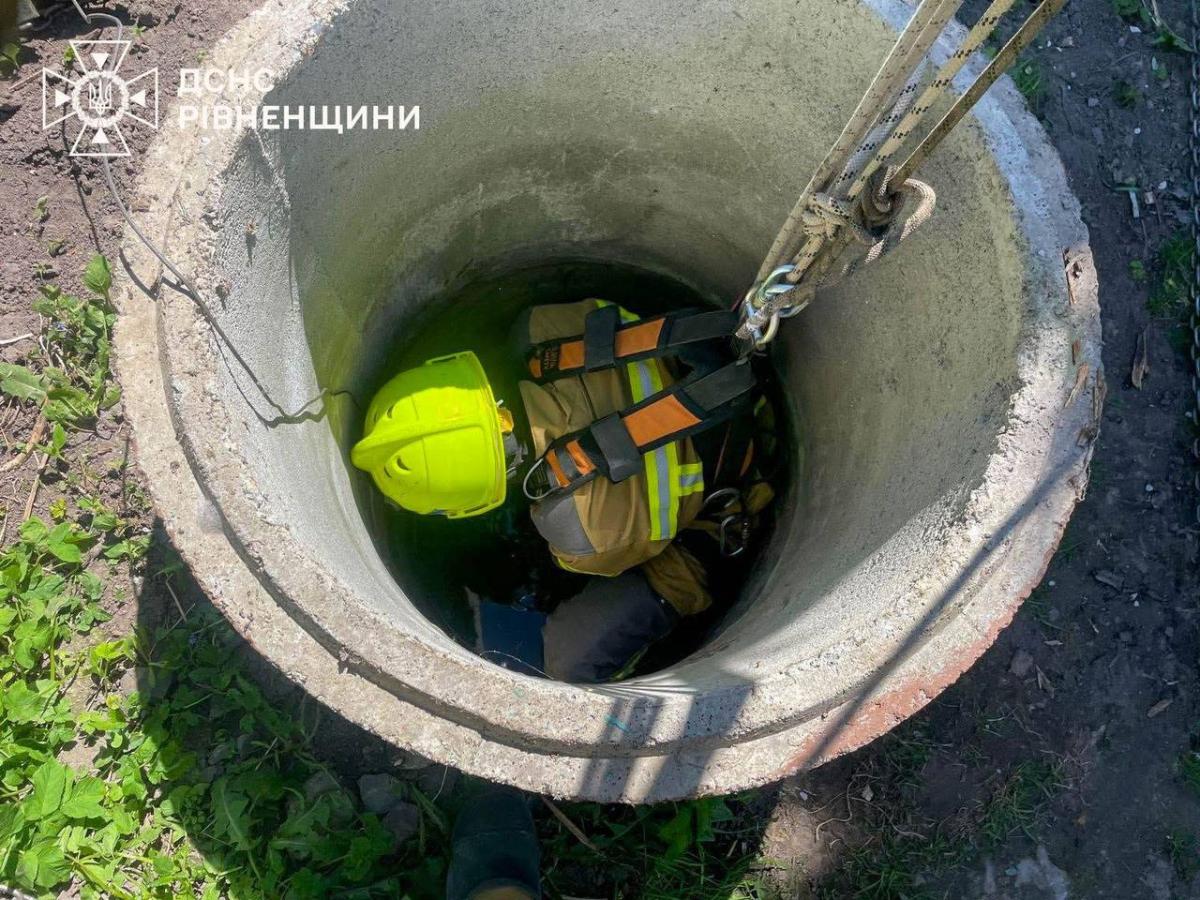 Фото до матеріалу: Дайджест новин Рівненщини: від Алеї слави до пошуку оленя Бориса