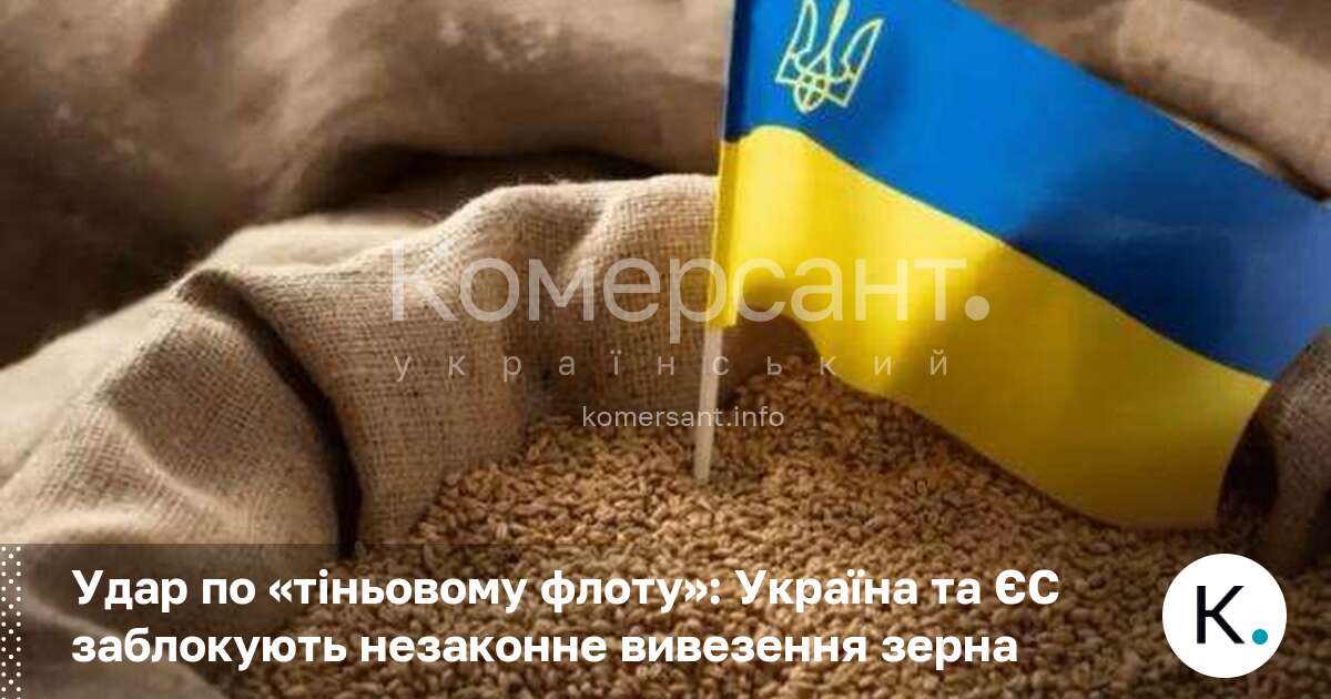 Фото до матеріалу: Україна та ЄС готують санкції проти «тіньового флоту»: блокують незаконне вивезення зерна