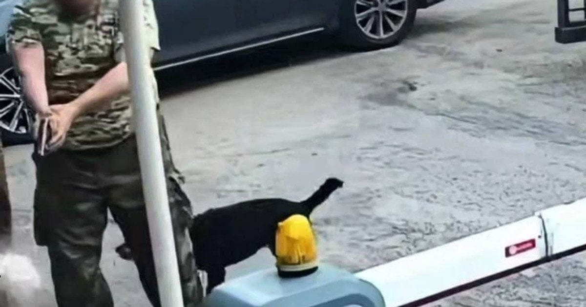 Фото до матеріалу: У Києві прорвало трубопровід біля Індустріального мосту: вулицю Вадима Гетьмана затопило водою
