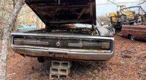 Фото до матеріалу: Знак А-34 на європейських автошляхах: особливості попередження про ДТП та загроза великих штрафів