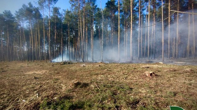 Фото до матеріалу: Понад 1800 пожеж: в Україні вигоріло майже 2250 гектарів екосистем