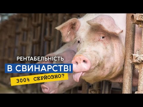 Фото до матеріалу: Модульні молочні мінізаводи: як українське скотарство переходить до замкнутого циклу виробництва