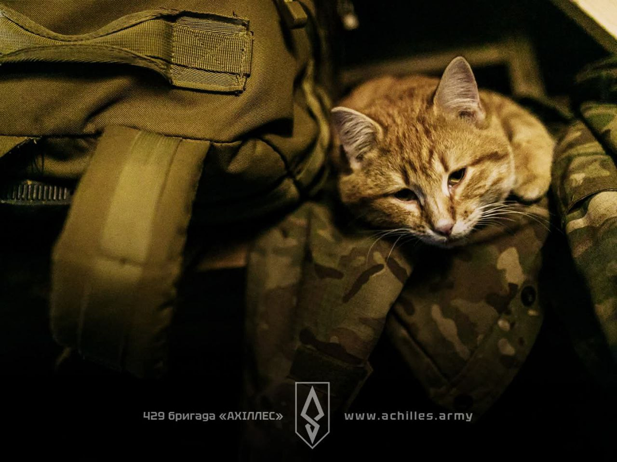 Фото до матеріалу: Війна. День 1539 коротко про головне (ОНОВЛЮЄТЬСЯ)