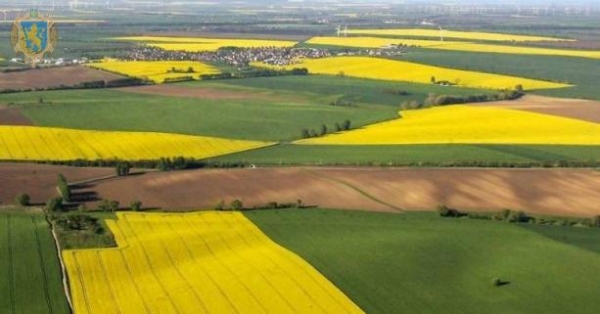 Фото до матеріалу: Ціна оренди землі на Львівщині зросла у 17 разів: деталі аукціону