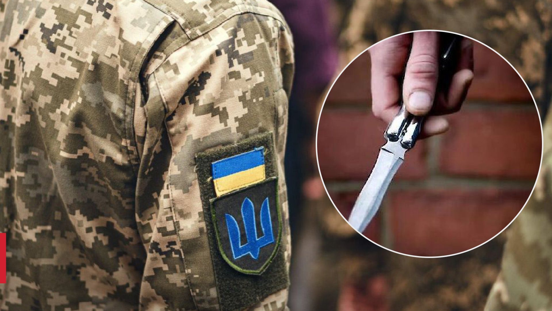 Фото до матеріалу: Верховний Суд вирішує долю 415 гектарів землі у Давидівській громаді