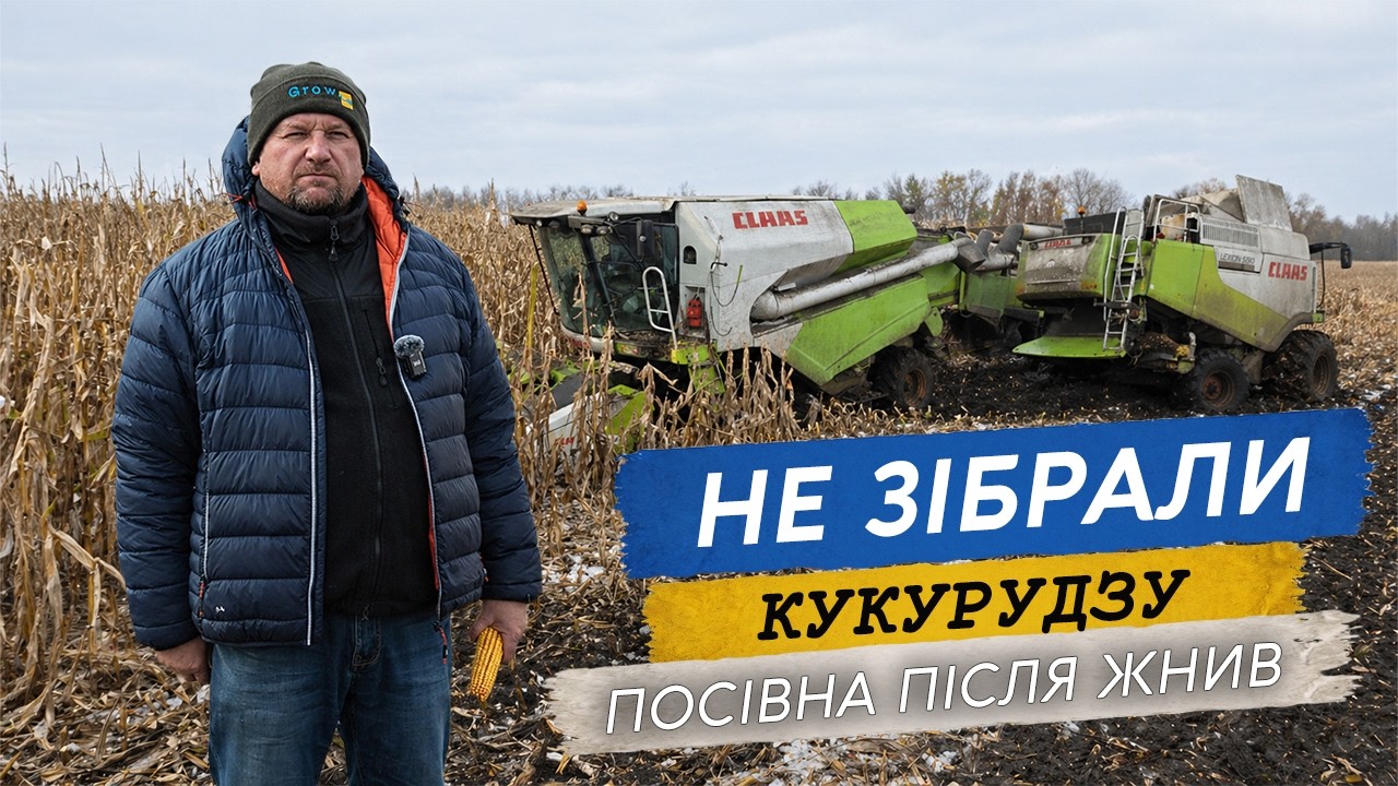 Фото до матеріалу: Посівна на екваторі: Україна робить ставку на кукурудзу